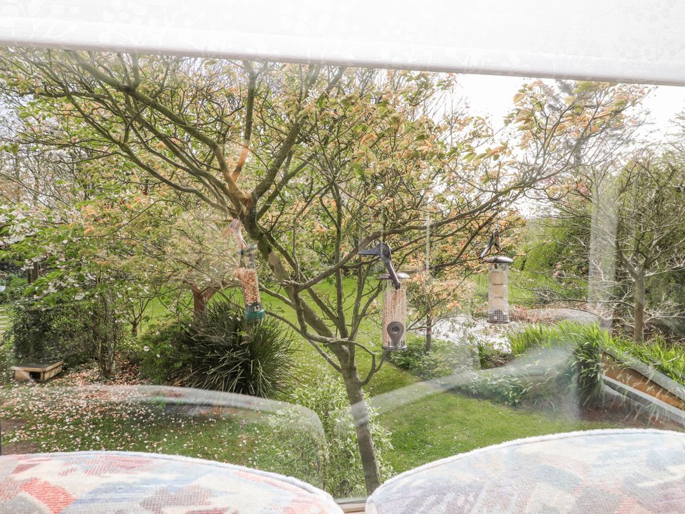 View of a garden with bird feeders and green grass at Fron Dderw Caravan Llanfairynghornwy near Llanfechell