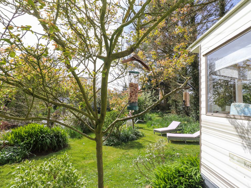 A garden with a tree and bird feeders at Fron Dderw Caravan in Llanfairynghornwy near Llanfechell