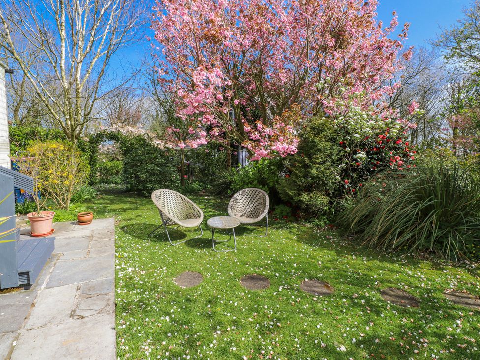 A garden with chairs and a tree at Fron Dderw Caravan in Llanfairynghornwy near Llanfechell