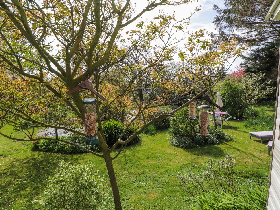 A garden with bird feeders hanging on a tree at Fron Dderw Caravan Llanfairynghornwy near Llanfechell