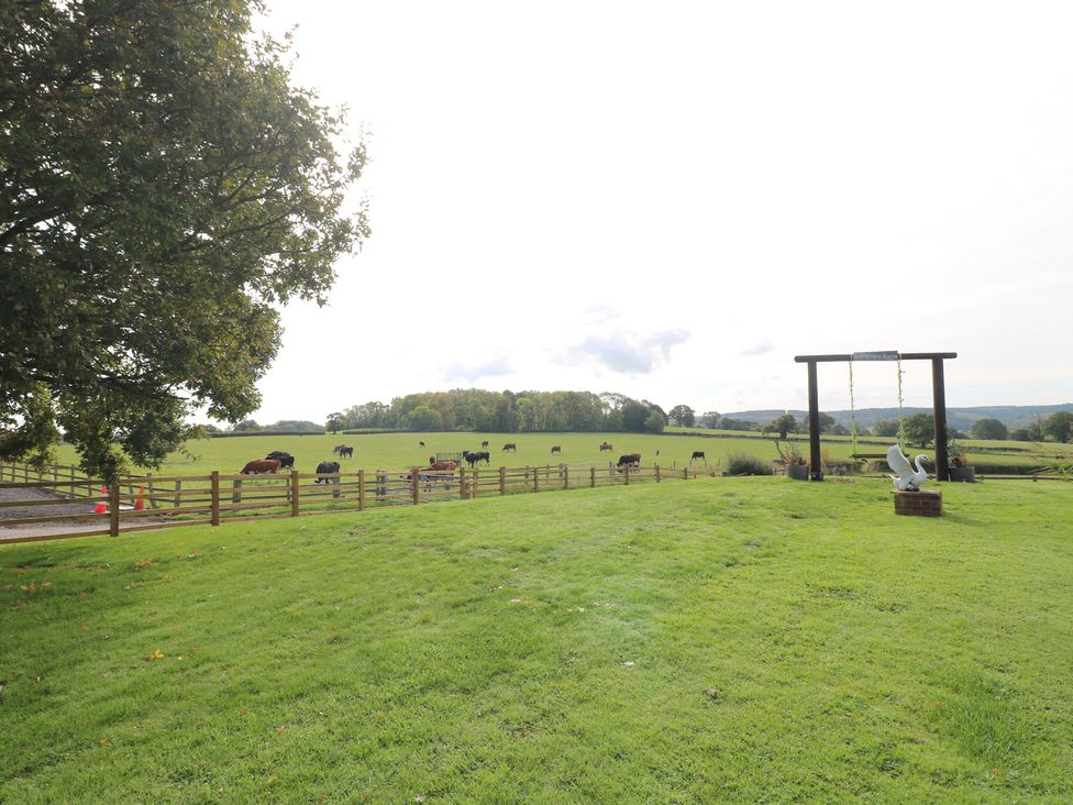 A field with cows grazing near a swing at Far Coley Farm and Kilnhurst Log Cabin Great Haywood