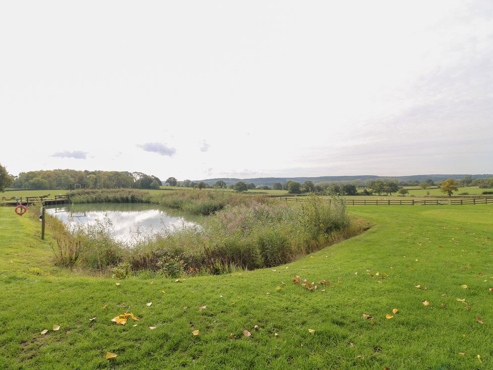 A water pond surrounded by grass and trees at Far Coley Farm and Kilnhurst Log Cabin in Great Haywood