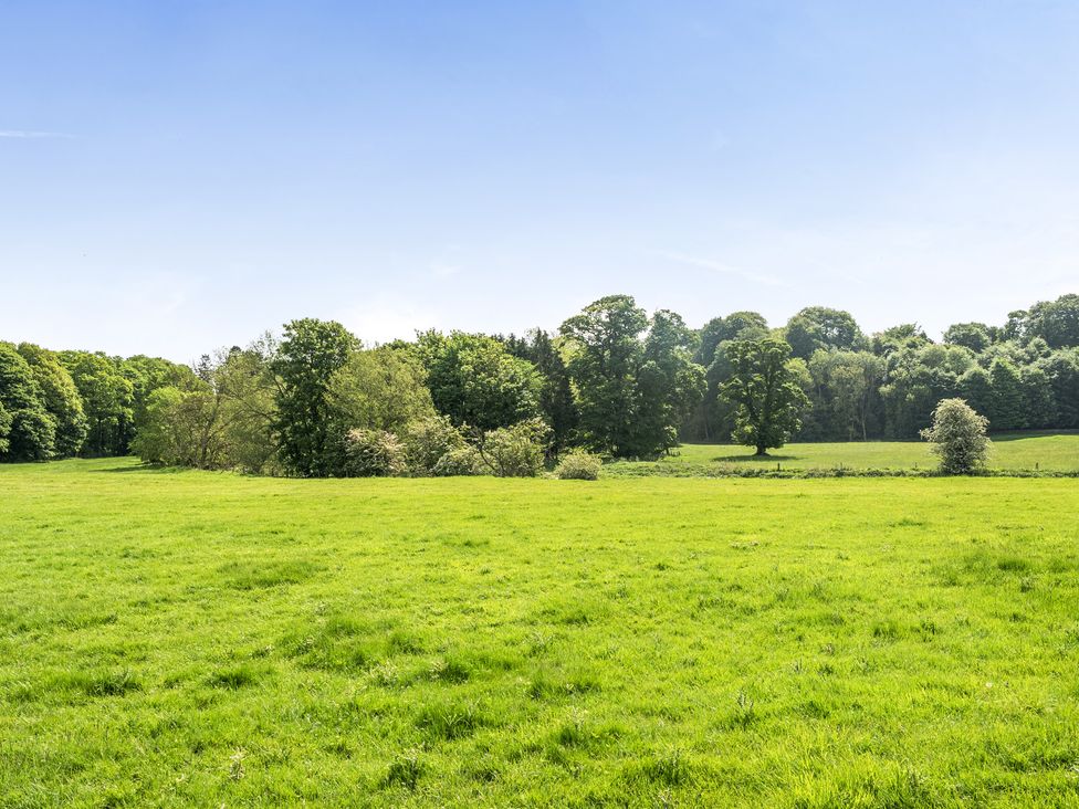 A grassy field with trees and blue sky at Jubilee Two Bedroom House Pet Friendly in Penrith