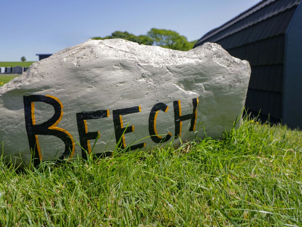 A rock with the word Beech painted on it in an outdoor area at Beech in Ulverston