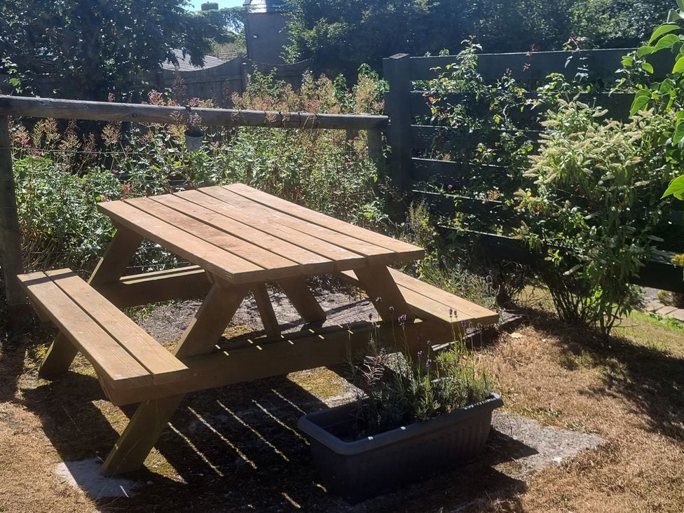 A picnic table with benches surrounded by plants at Ty Gwenyn in Rhydwyn