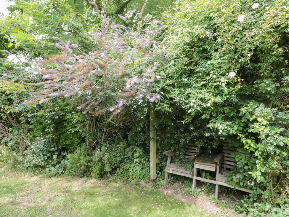 West Moor Cottage Annex - Somerset & Wiltshire - 1113076 - thumbnail photo 22