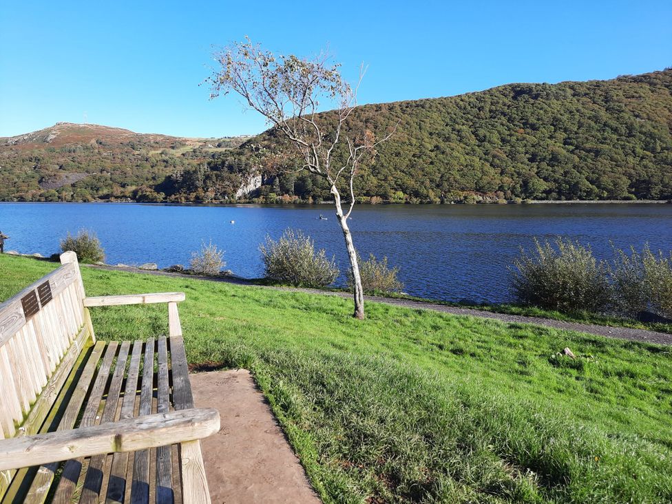 A view of water with a bench and tree at Y Berth in Caernarfon