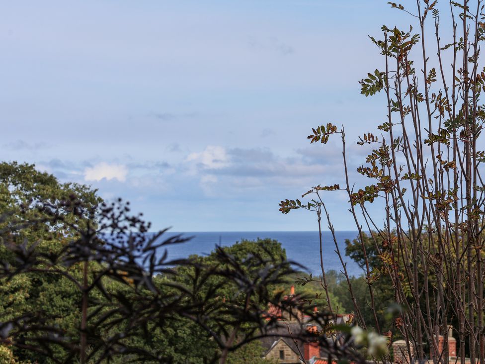 2 Maypole Green - North Yorkshire (incl. Whitby) - 1114110 - thumbnail photo 38