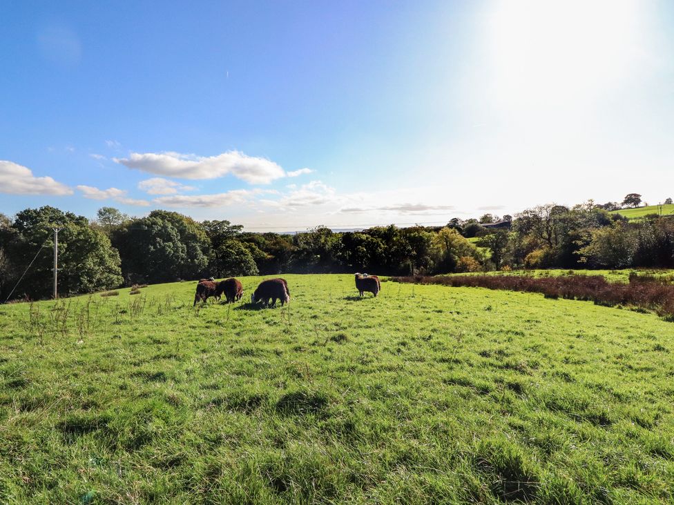 Grains Barn Farm - Lake District - 1115500 - thumbnail photo 55