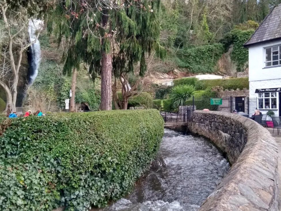 A stream surrounded by trees and a building at Waterfall Cottage in Dyserth