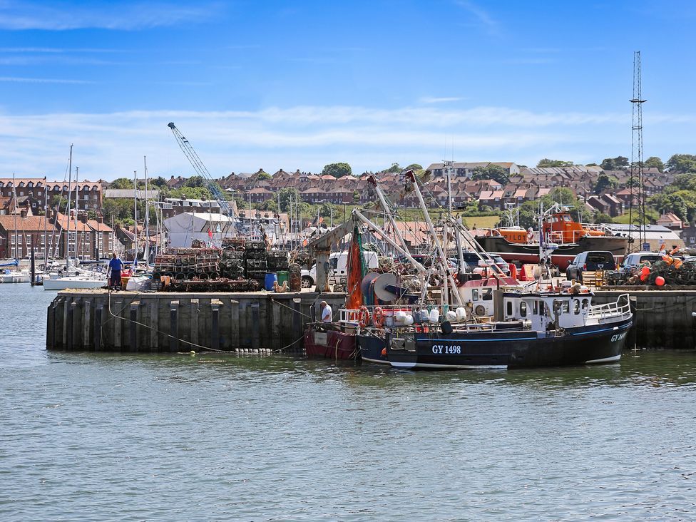 The Harbour Den - North Yorkshire (incl. Whitby) - 1115658 - thumbnail photo 11