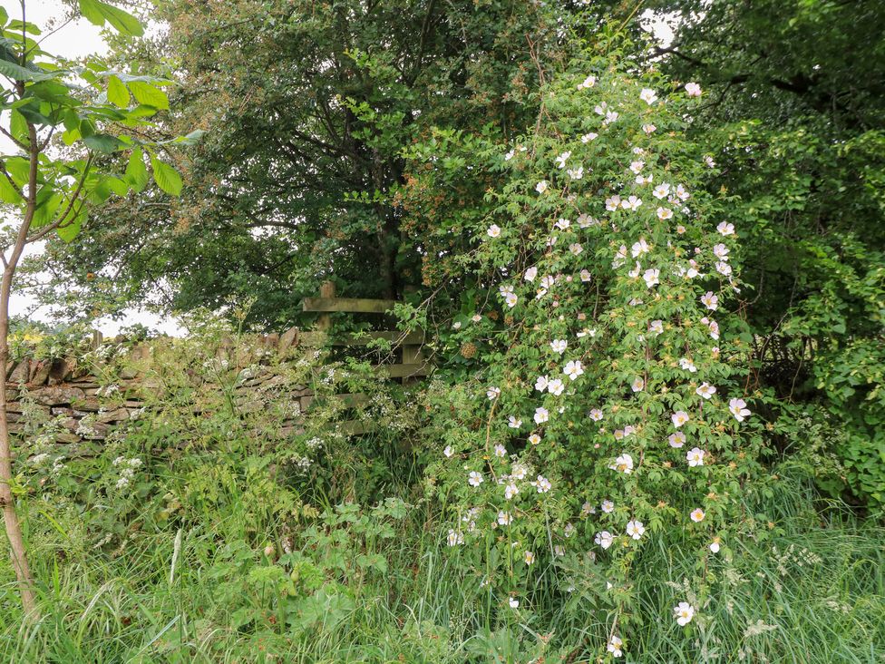 Flowers growing near a stone wall with trees and grass at Pudding Hill Barn Cottage Bibury
