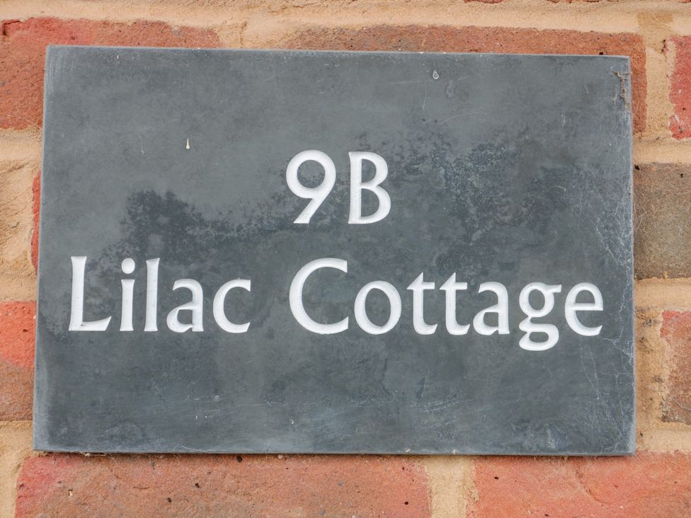 Lilac Cottage - Hampshire - 1116234 - thumbnail photo 28
