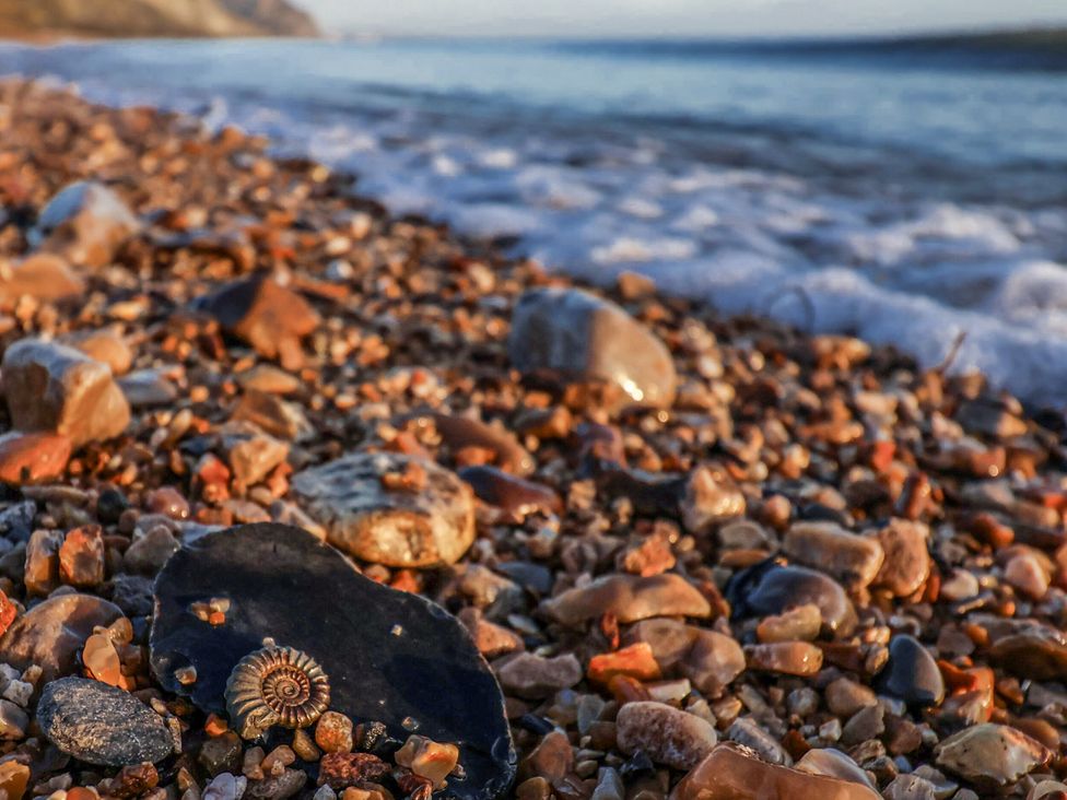 A beach with pebbles and an ammonite fossil at St Helena in Charmouth