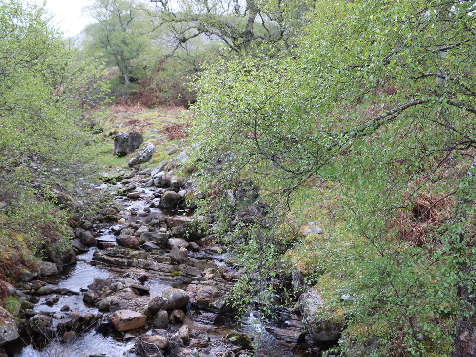 Coraldie - Scottish Highlands - 1116390 - thumbnail photo 32