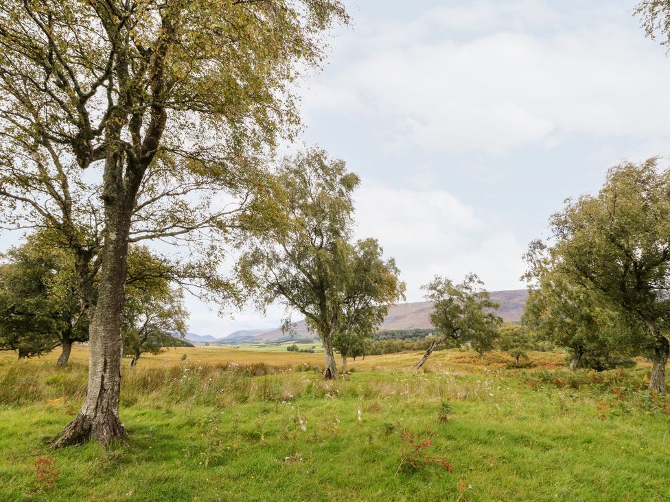 Coraldie - Scottish Highlands - 1116390 - thumbnail photo 24