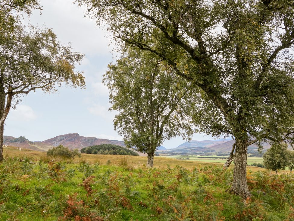 Coraldie - Scottish Highlands - 1116390 - thumbnail photo 26