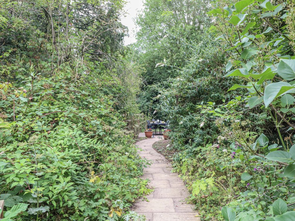 A pathway leading through greenery at Cotton Mill Cottage in Cuckney