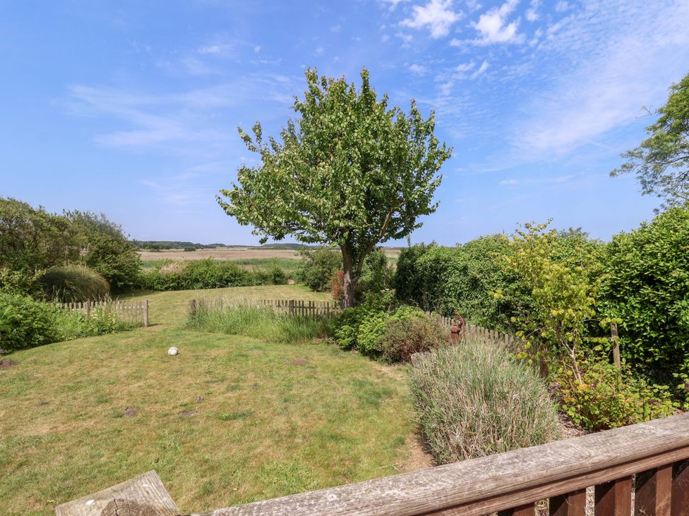 A garden with a tree and grass at Seadrift Dunwich Near Westleton