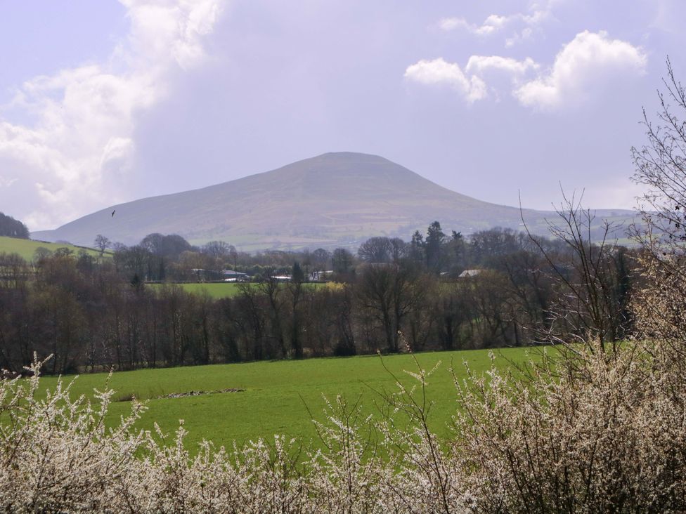 A mountain and green field with trees and bushes at Sunny Cottage in Brecon