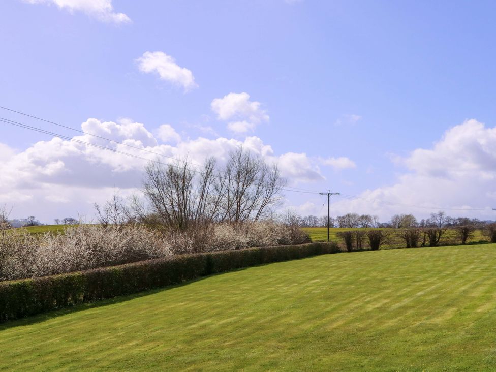 A lawn with trees and bushes at Sunny Cottage in Brecon