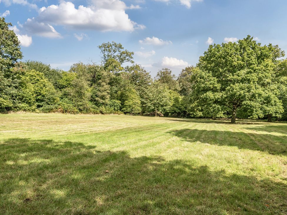 An open field with trees in the background at The Annex in Wimborne Minster