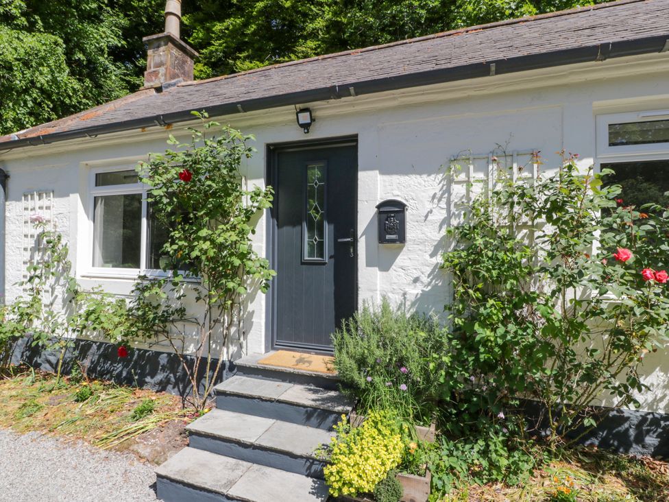 A front entrance with a door, steps, and plants at Nithbank Cottage
