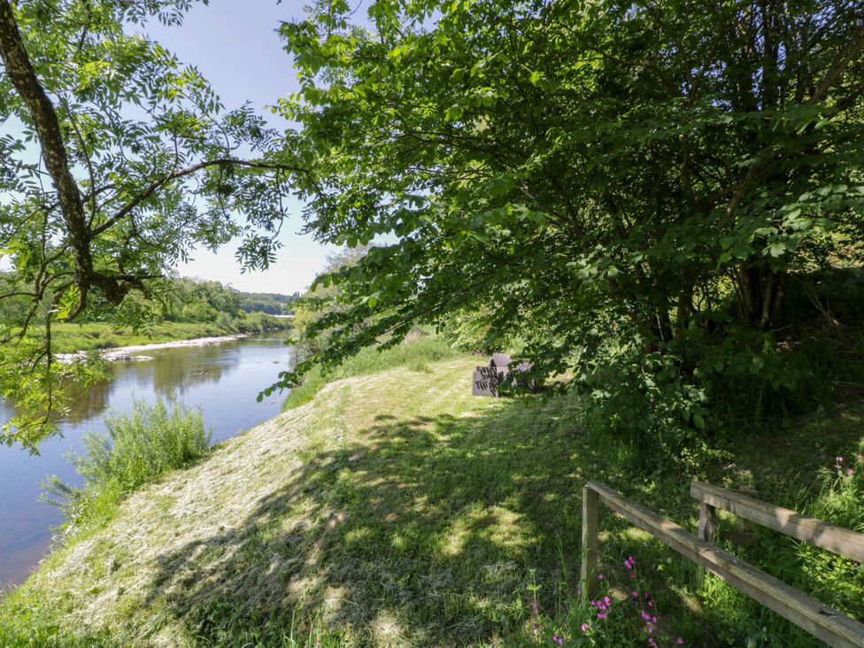 A riverside area with trees and a bench at Nithbank Cottage