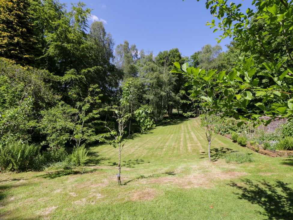 A garden with trees and grass at Nithbank Cottage