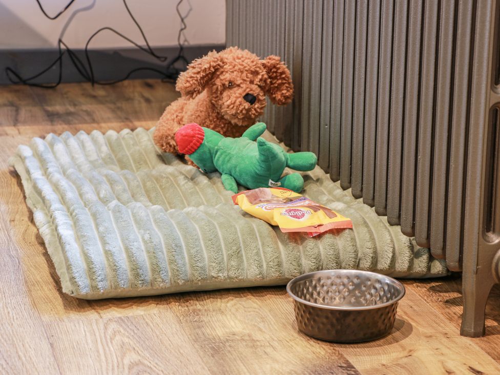 A toy dog and green mat with a metal bowl and dog treats at Nithbank Cottage Thornhill