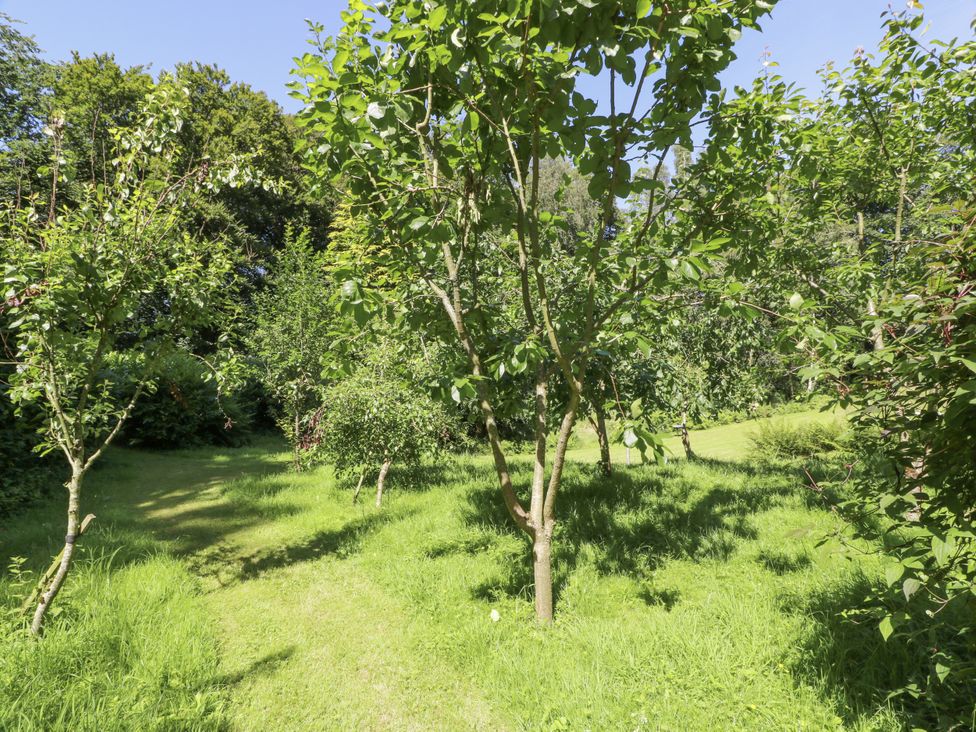 A garden with trees and grass at Nithbank Cottage Thornhill
