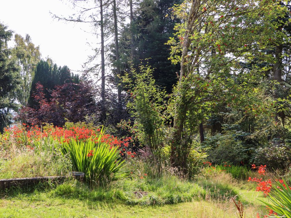 Creag Dhubh Cottage -  - 1118473 - thumbnail photo 31