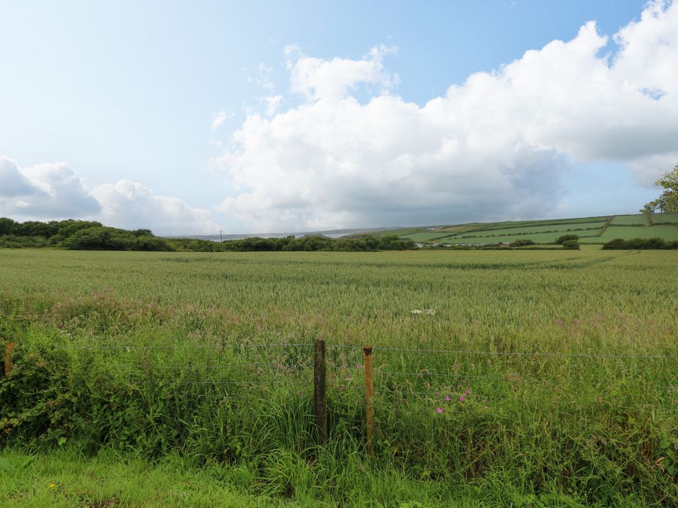 A field with grass and a fence at North Studdock Cottage in Angle near Pembroke