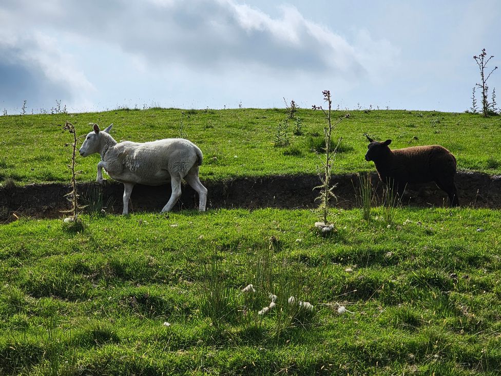 The Milne - Yorkshire Dales - 1118615 - thumbnail photo 37