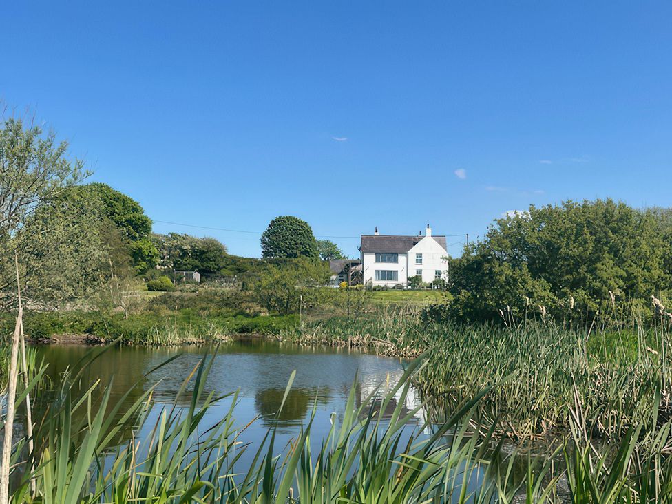 Cae Du - Anglesey - 1118805 - thumbnail photo 37