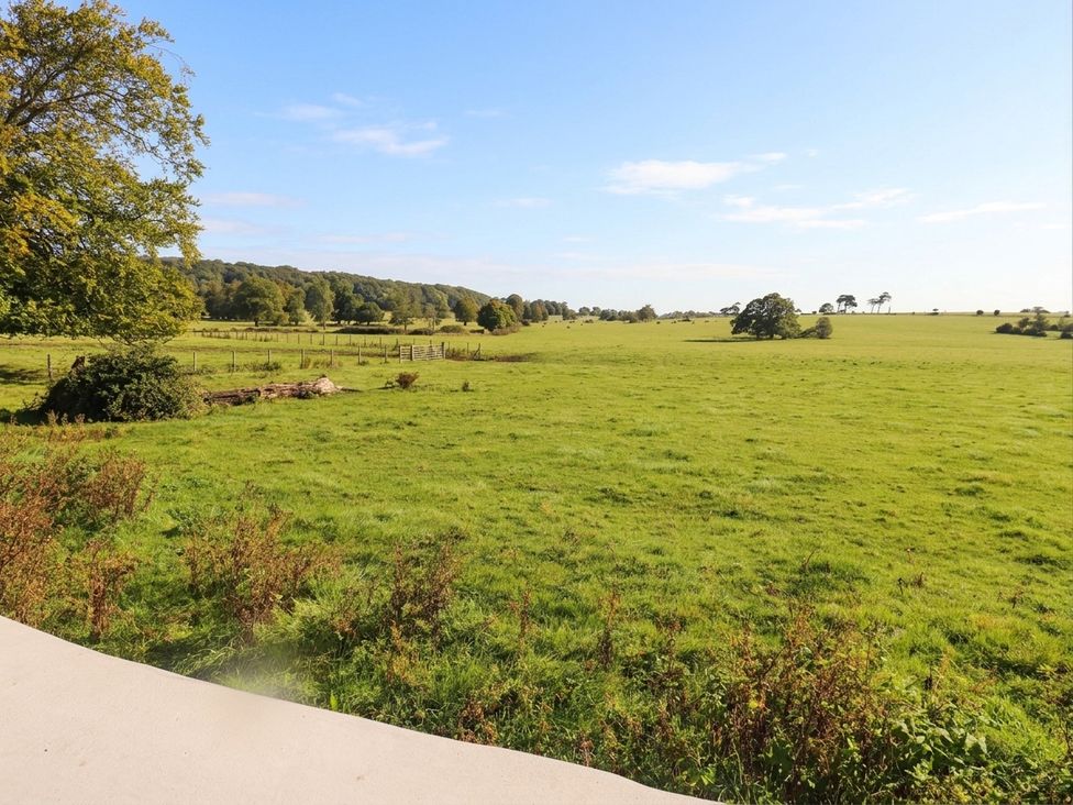 A view of a grassy field with trees and a blue sky at The Old Tannery in Beaumaris
