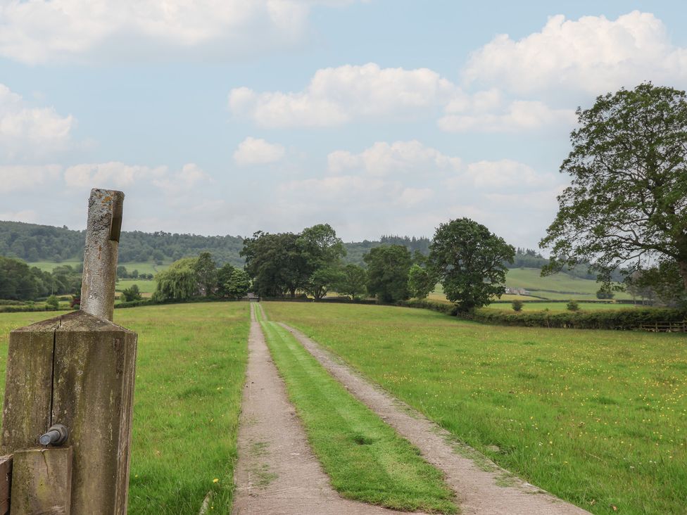 A dirt path leading through fields with trees at Cliffe House Cottage
