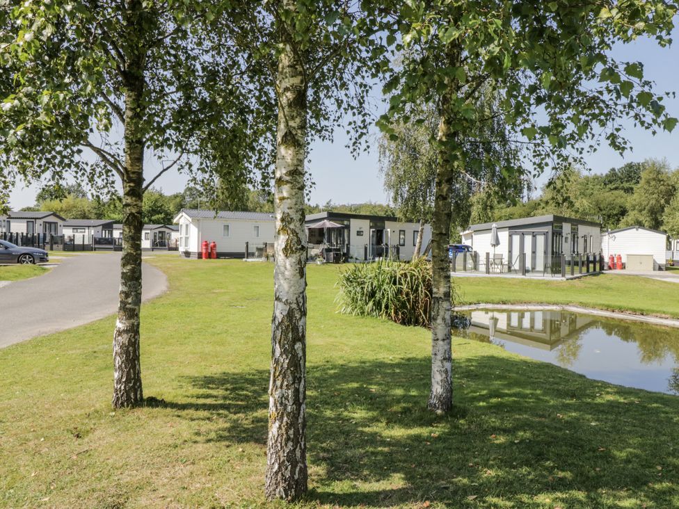 An outdoor view of caravans and trees at Lilac Lodge in Carnforth
