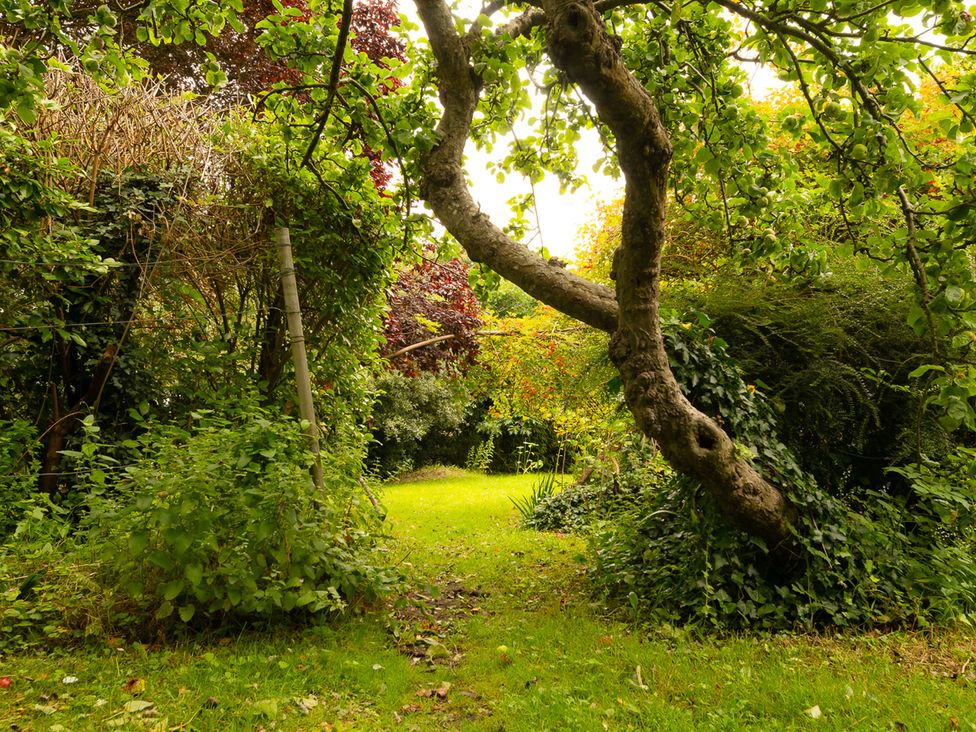 Blackbird Cottage - Devon - 1119630 - thumbnail photo 25