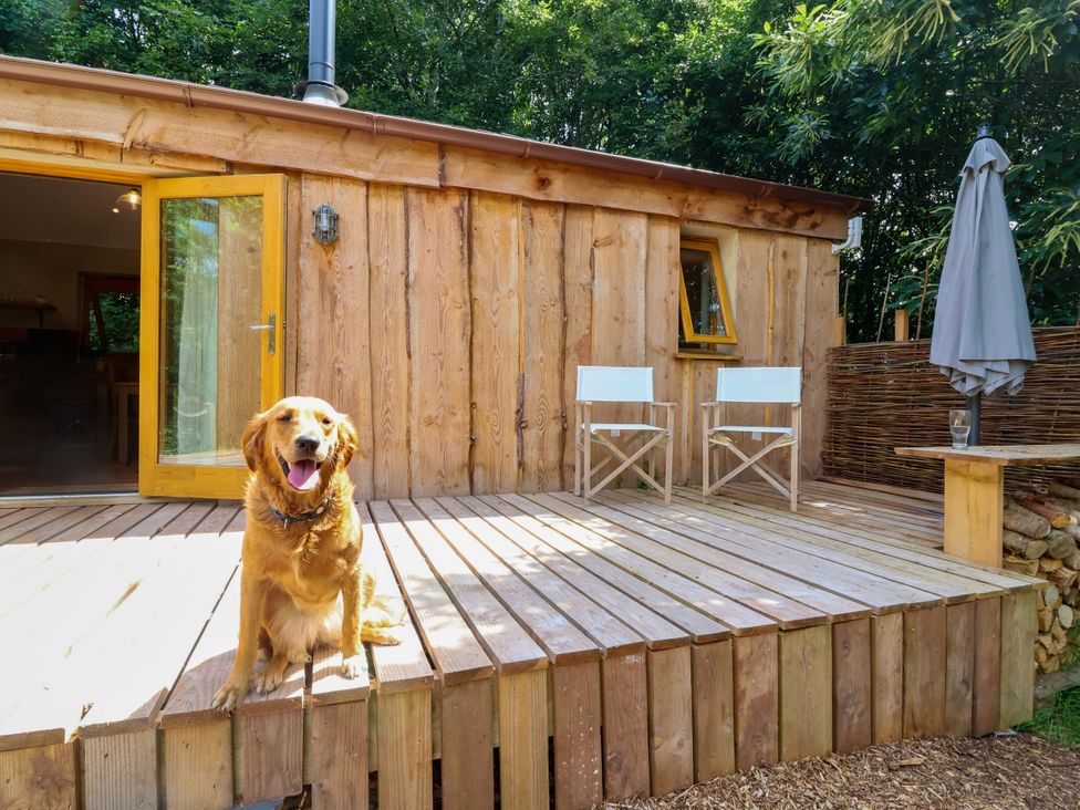 A wooden building with a dog on the deck at Brambly Cabin in Crediton