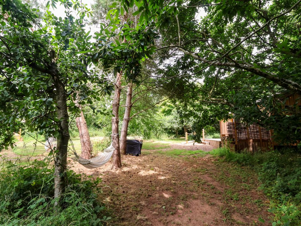 An outdoor space with trees and a hammock at Brambly Cabin Crediton