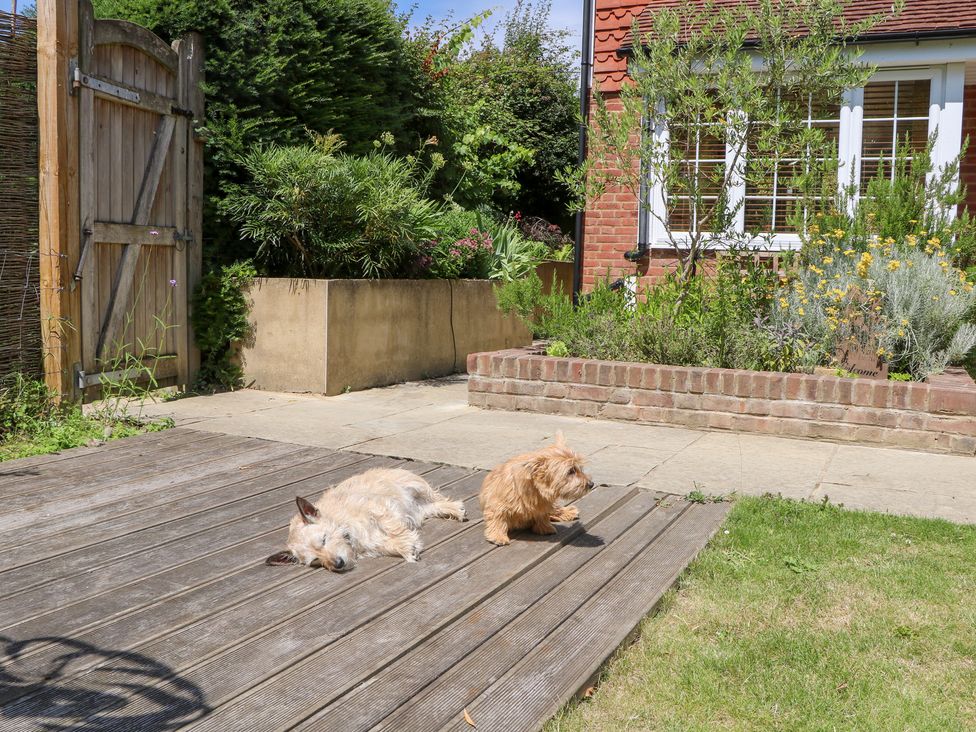 Two dogs resting on a wooden deck in the garden at Cherry Garden Cottage in Sandhurst