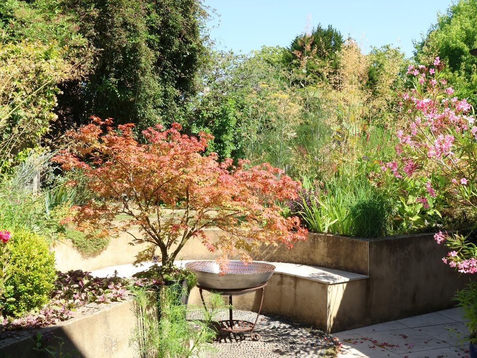 A garden with a variety of plants and a bench at Cherry Garden Cottage in Sandhurst