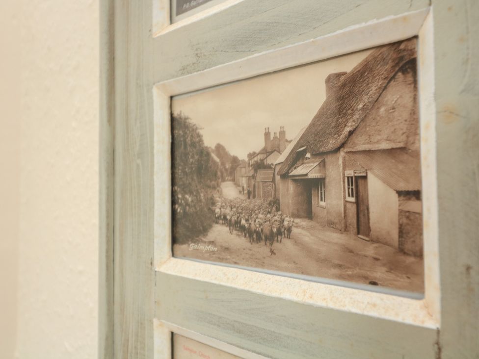 A vintage photograph of sheep on a street at Wayside near Kingsbridge