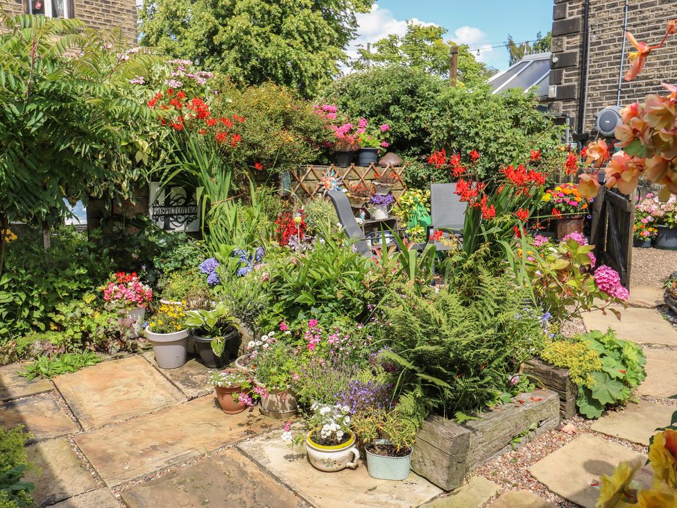 A garden with various plants and flowers at Prospect Cottage in Ripponden