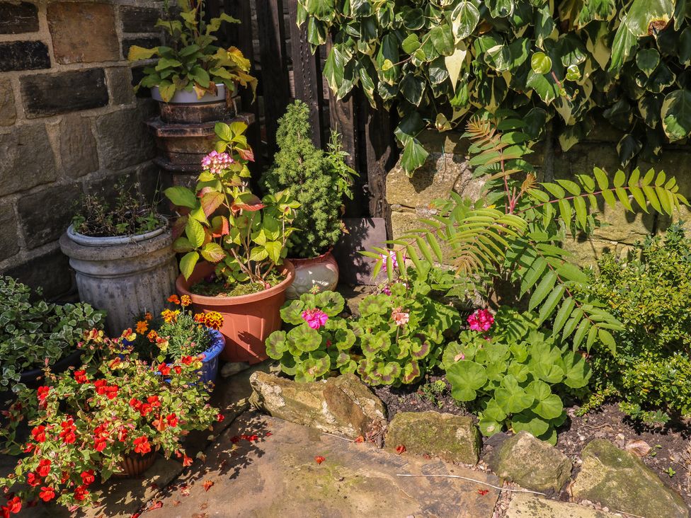 A garden with various potted plants at Prospect Cottage in Ripponden