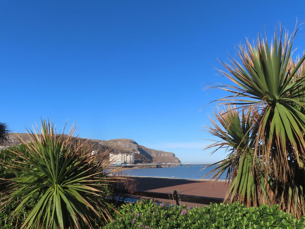 A view of the sea and mountains with palm trees at The Keep in Llandudno