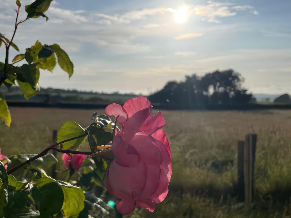 Oaklands - Dorset - 1121340 - thumbnail photo 25