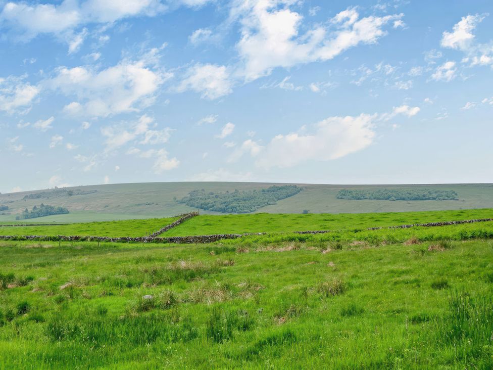 A landscape with grass fields and stone wall at Upper Hillside Cottage in Blairgowrie
