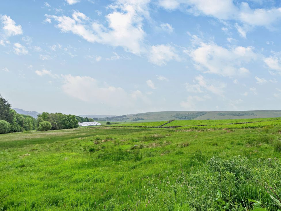 A field with trees and distant hills at Upper Hillside Cottage Blairgowrie